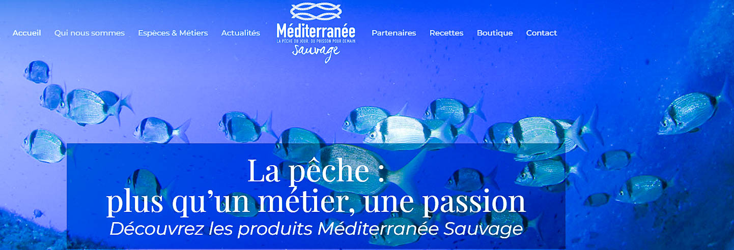 Site-internet-Mediterranée Sauvage