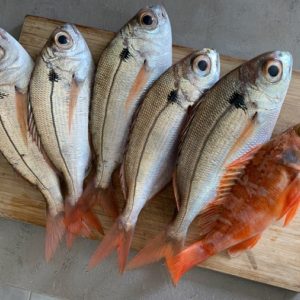 poissons