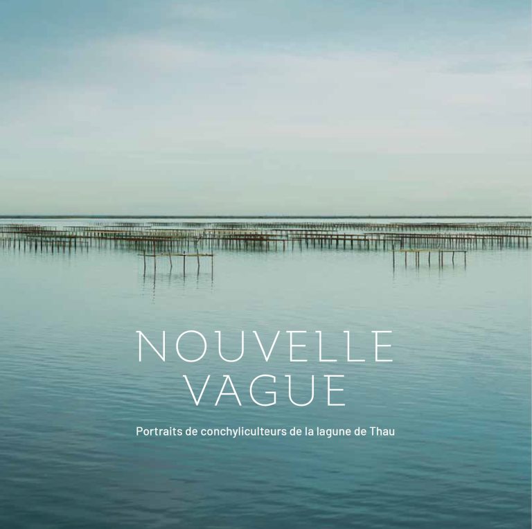 Nouvelle-vague-couverture-livre