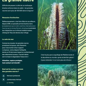 Sentier-Panneau-fonds-sableux2
