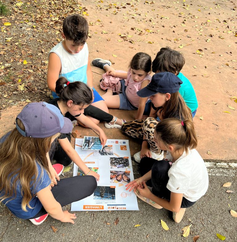 2025-Bache-Rescoloco-Meze2