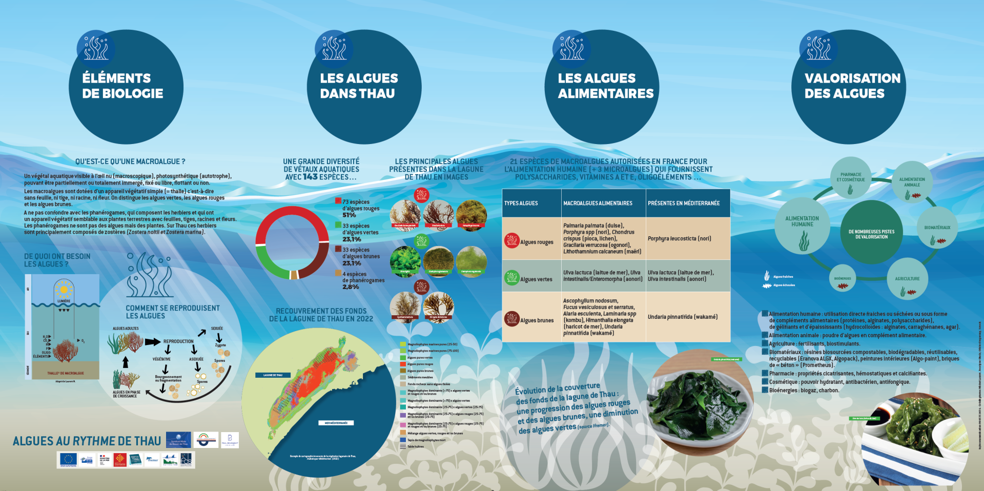 SMBT-Algues-au-rythme-de-Thau