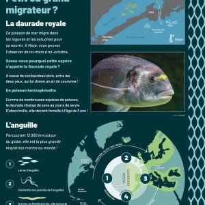 Sentier-Panneau-peche_lagune2