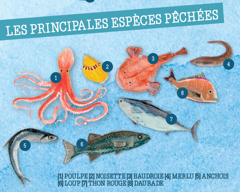 Espèces-pechees