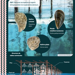 Sentier-Panneau-conchyliculture1