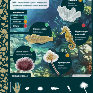 Sentier-Panneau-fonds-rocheux1