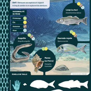 Sentier-Panneau-peche_lagune2