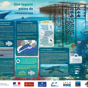 Sentier-Panneau-terre-verso