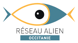 Alien Occitanie